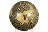 Polished Septarian Sphere - Madagascar #227561-1